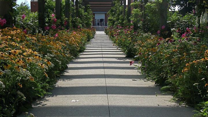 Level paved walking path with benches running through planted lawns, laid out for accessible senior use.